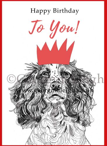 Dog Birthday Card - Springer Spaniel